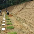 자연장지 이미지