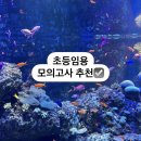 [하마/2024초등임용] 모의고사 추천⭐️☑️ 이미지