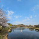 배경화면으로 딱! 혼자 보기 아까운 '서울 정원 사진' 공개 이미지