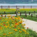 아침풍경 이미지