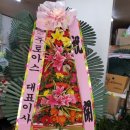 베니키아웨딩홀 이미지