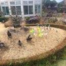 SN박물관 이미지