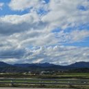 파아란지붕 | 철원 고석정 꽃밭, 친구가 보내온 평화와 가을의 편지