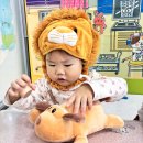 새솔동물병원 이미지