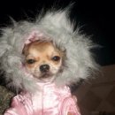 숙명여자대학교 | 숙명여자대학교 기관토플 (ITP) 후기