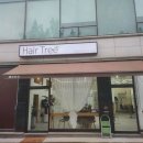 헤어트리 네이버블로그