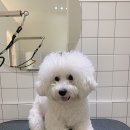 위드스테이부산 이미지