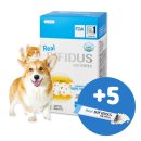 (주)에스틴 이미지