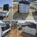 한농종묘사 이미지