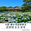 야외마당 콘서트 6회차 | 제주가볼만한곳 혼인지 수국 후기 성산가볼만한곳 6월 제주수국명소