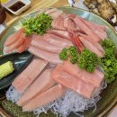 단카이참치 이미지