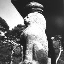 구로-신도-구로-1609 | 화엄사 사사자석탑(四獅子石塔)의 귀 숙인 사자상