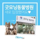 굿모닝 동물병원 이미지