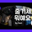 VIP동물한방재활의학센터by.Dr.신사경 이미지