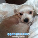 여수엑스포 부근 Daum카페