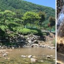 모야의숲 캠핑장 이미지