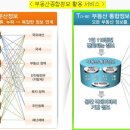 (국토교통부)부동산 서류 하나로 편리하게~부동산종합증명서..2014년1월18일부터 이미지