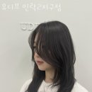 유디브 이미지