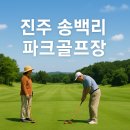 송백리어르신체육시설 파크골프장 | 진주 송백리 파크골프장 완전 정복, 힐링과 전략이 공존하는 골프장