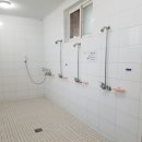 원주두리캠핑장 이미지