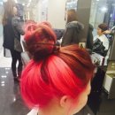 더 헤담