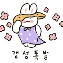 네일리브레 이미지