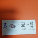 풀숲 Daum카페