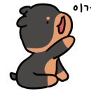 펫마트진주 - 진주시 진주대로 1217 | 펫마트진주