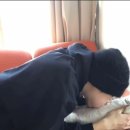 댕글 이미지
