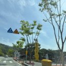 테마임도공원1 | 칠곡 아이와 가볼만한곳:) 꿀벌나라 테마공원 실내 체험 후기 1