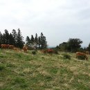 산풍목장 이미지