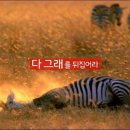 (주)그래오늘은 이미지