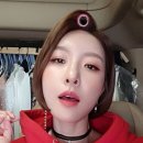 진달래 국민일보