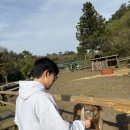 채림목장 이미지