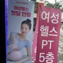 라인피트니스 PT & 필라테스 | 헬스장] 안심하고 다닐수있는 신림 여성전문 헬스장 <휘트니스피플 우먼> PT 체험 후기, 필라테스와 비교