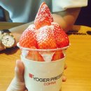 요거프레소 이미지