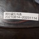 정단농장 이미지