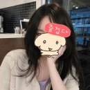 비비엔느 창원 상남동 미용실 허쉬컷 후기