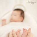 홍당무그린스튜디오 이미지