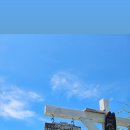 하이드온부쉬 이미지