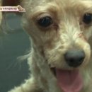 호화농장 이미지