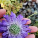 비온후풍경 이미지