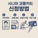 하나로경로당 | 2025년 시니어 교통카드 완벽 가이드! 신청방법부터 실사용 후기까지