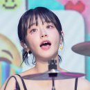 더블유게러지