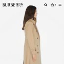 스패셜리스트클리닝 이미지