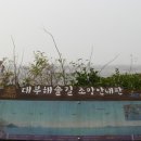 대부해솔길 6-2코스(순환코스) 이미지