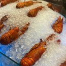 워프 | [코엑스 맛집] 바이킹스워프 코엑스점, 랍스터 뷔페 후기