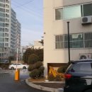 태양맨션 이미지