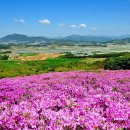 5월17일 정기산행 전국 제일의 철쭉지 바래봉 이미지