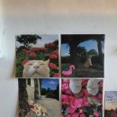 중앙종묘사 이미지